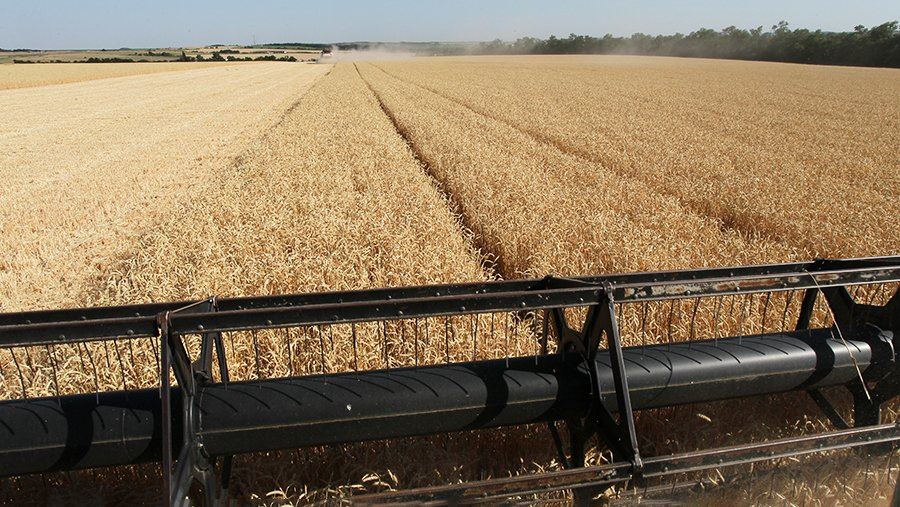 ЕК договорилась об ограничении экспорта в ЕС зерновых с Украины