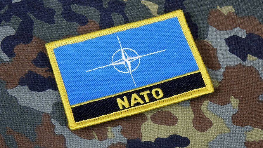Президент Литвы исключил членство Украины в НАТО во время конфликта
